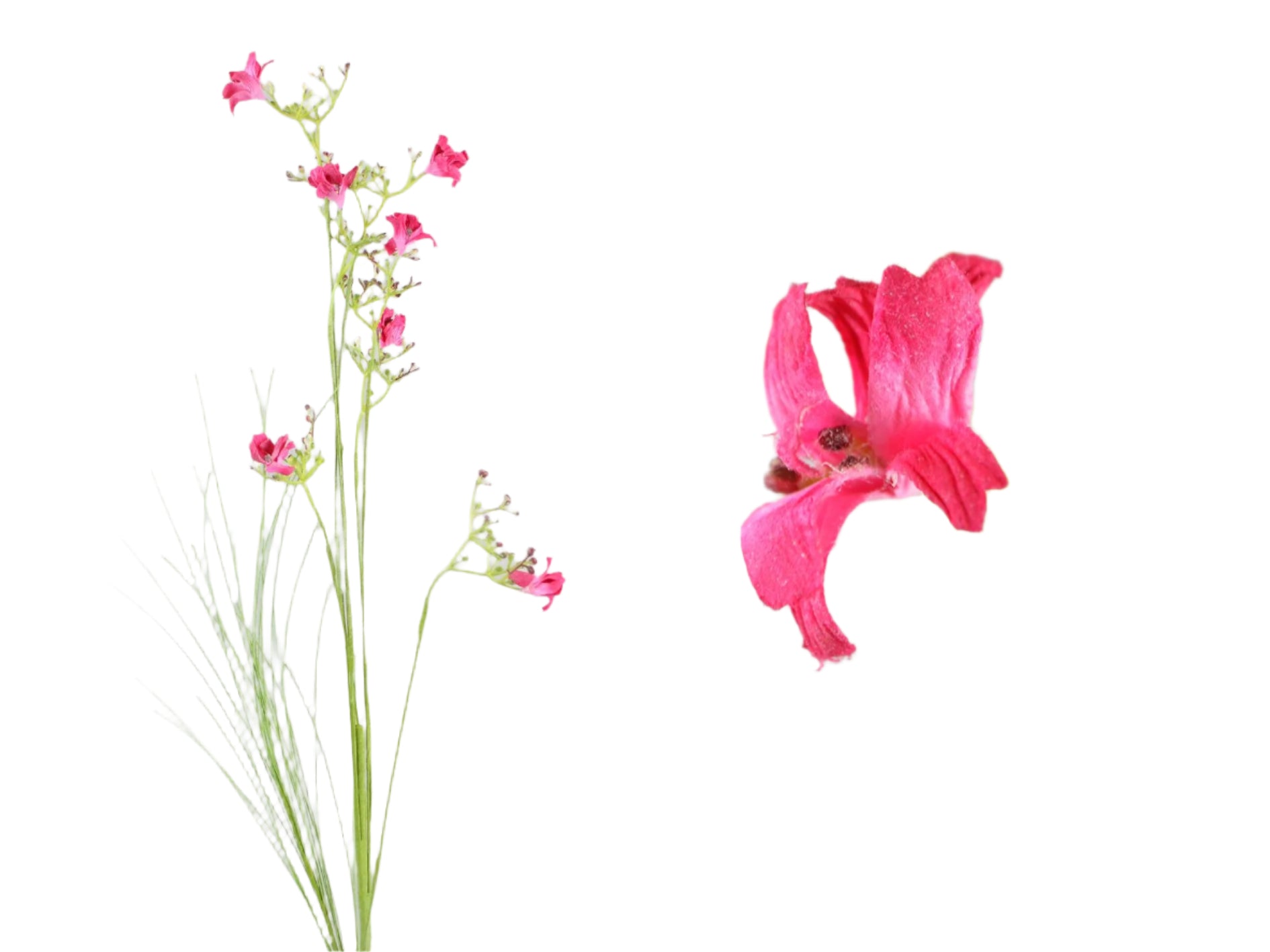 Blomstergren rød 74 cm kunstig gren til dekoration by Deko Florale