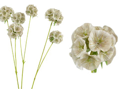 Combretocarpus Gren 64 cm, Grå (Kunstig) by Deko Florale