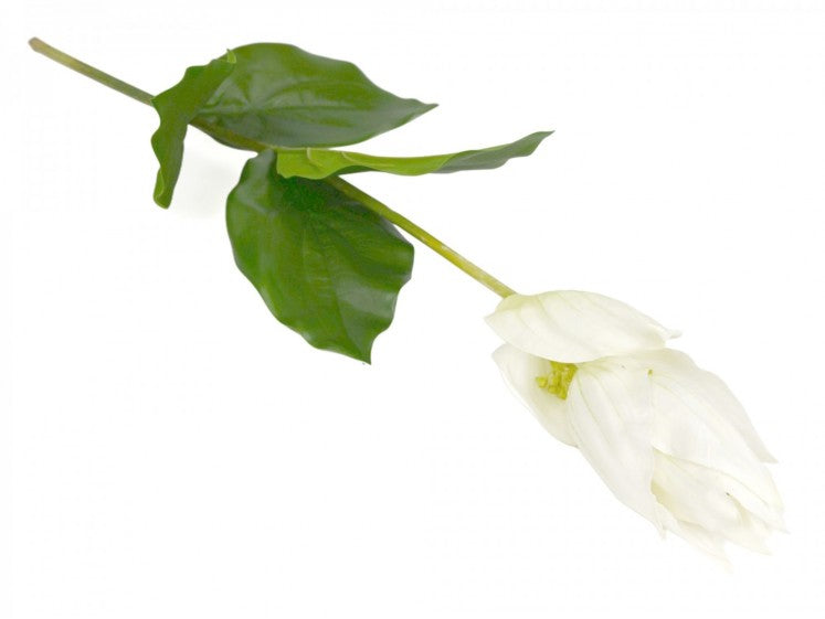 Medinilla Blomst 76 cm by Geliu Sala