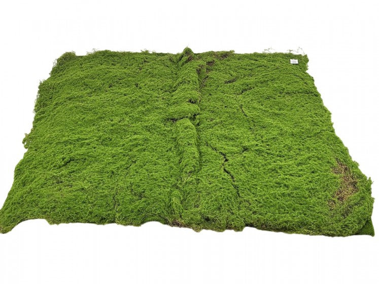 Mostæppe 100 x 100 cm by Geliu Sala