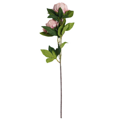 Kunstig Pæon med 3 blomster 72 cm Taupe by Collectione
