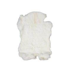 fur rabbit white (oryctolagus cuniculus)