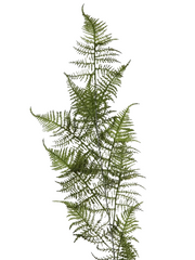 Kunstig bregnegren grøn 125 cm