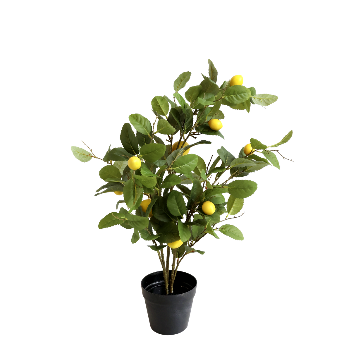 Fleur Lemon Tree – 80x50x35 cm natur