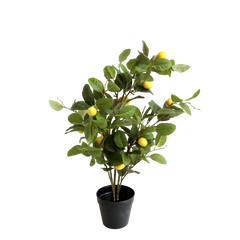 Fleur Lemon Tree – 80x50x35 cm natur