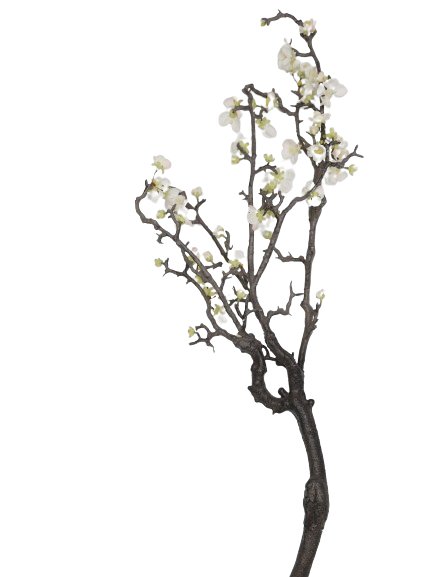 Kirschzweig, 94 cm, gnarled, weig