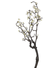 Kirschzweig, 94 cm, gnarled, weig