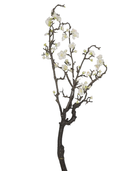 Kirschzweig, 94 cm, gnarled, weig