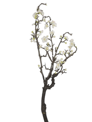 Kirschzweig, 94 cm, gnarled, weig