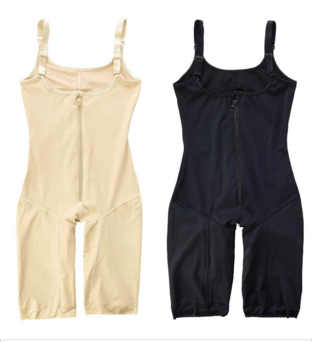 Overall shape by Krone 1