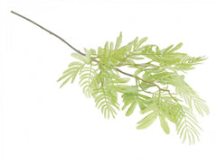 Mimosa-gren kunstig grøn stilk