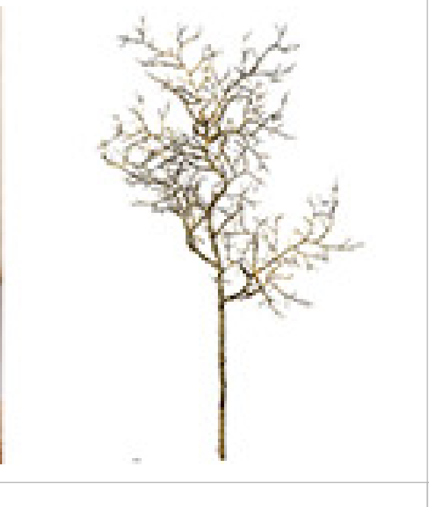 Dekorativ gren 60 cm