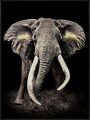 Indrammet Vægmaleri – Majestætisk Elefant 90x120 cm