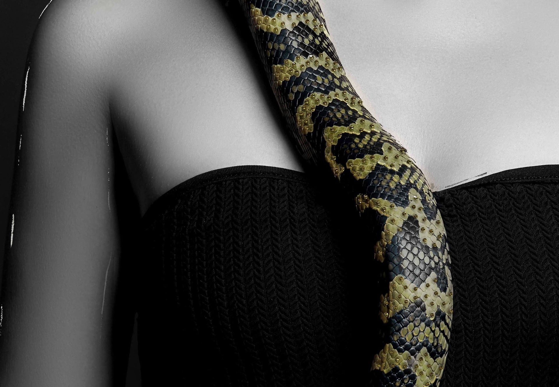 Indrammet vægmaleri – Lady with Snake 80x120 cm