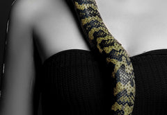 Indrammet vægmaleri – Lady with Snake 80x120 cm