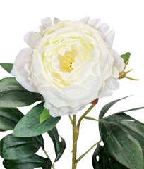 Blomst Pæon hvid 63 cm by Geliu Sala