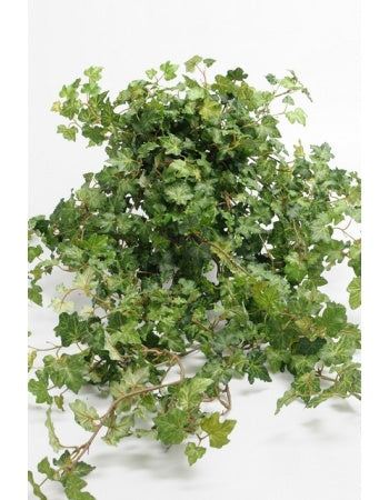 Hedera hængeplante 85 cm grøn