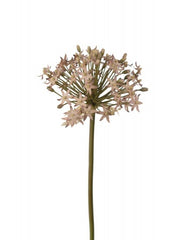 Allium kunstig blomst 50 cm lilla