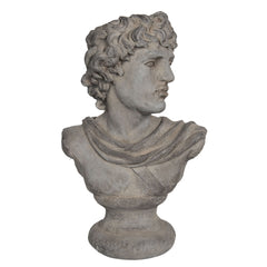 Bust 50x32x78cm