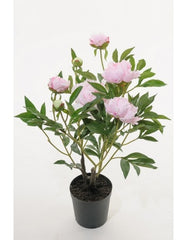 Peony 70 cm. light pink