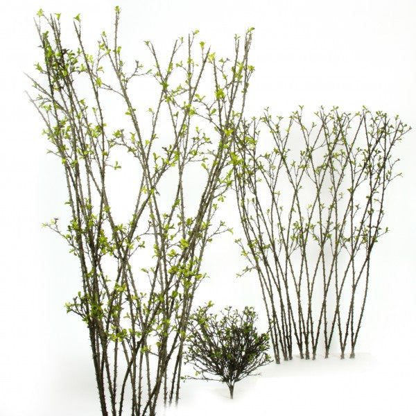 Dornenzaun, 152 cm, green
