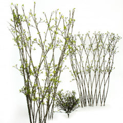 Dornenzaun, 152 cm, green