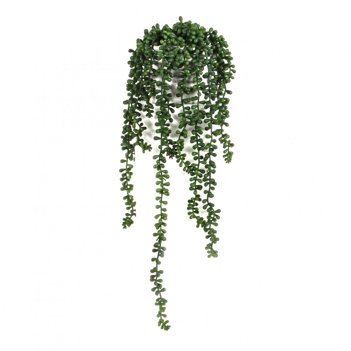 Erbsenstrauch, getopft, 56 cm, green