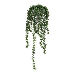 Erbsenstrauch, getopft, 56 cm, green
