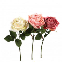 Single rose "Newport", 38 cm, 1 Blute mauve
