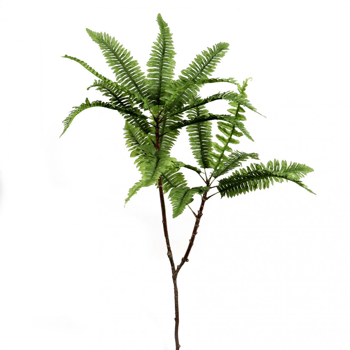 Farnzweig 128cm