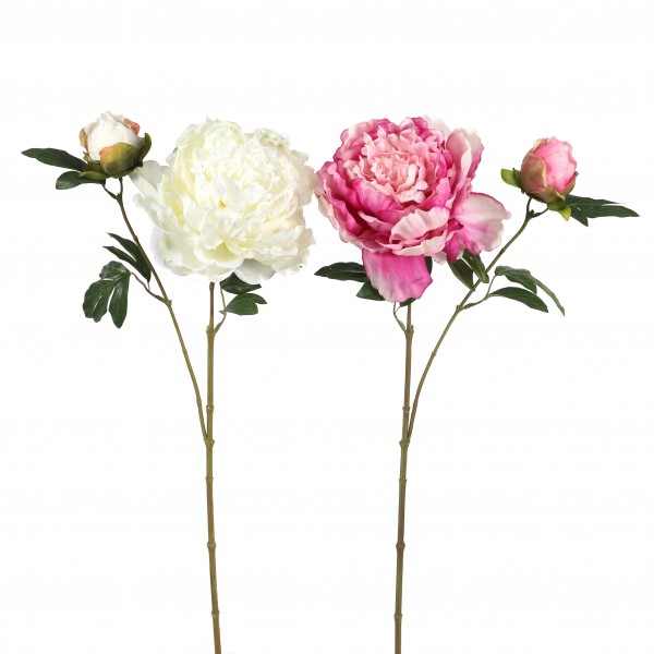 Peony x 2, 64 cm cream