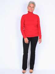 Classic turtleneck blouse