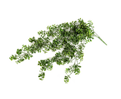 Blatthanger "Muschel", 73 cm, green