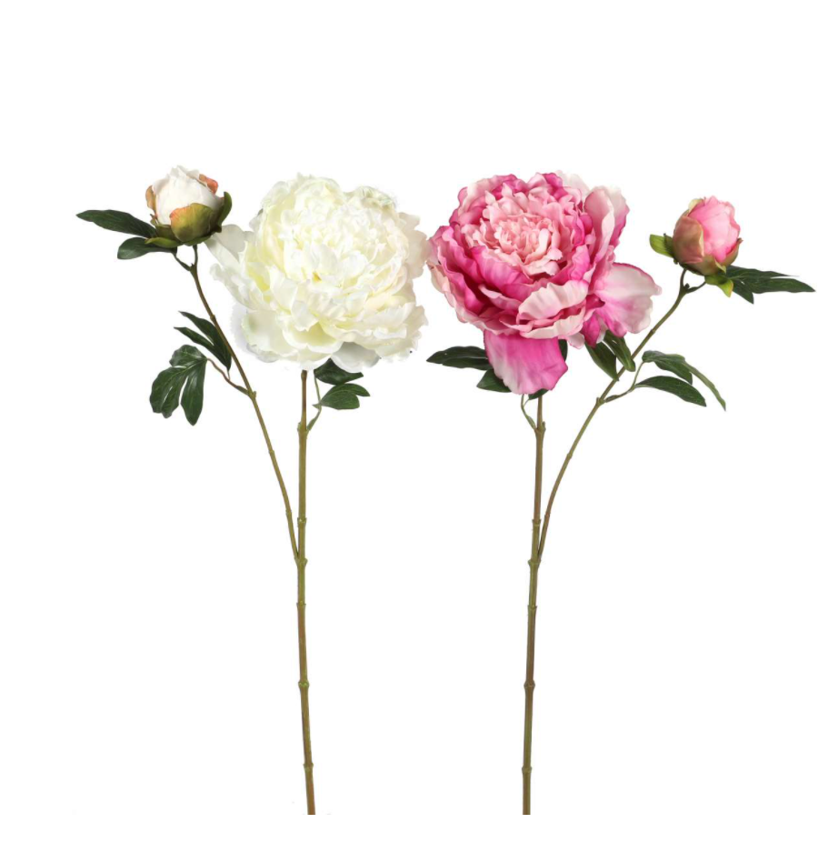 Peony x 2, 64 cm pink-pink