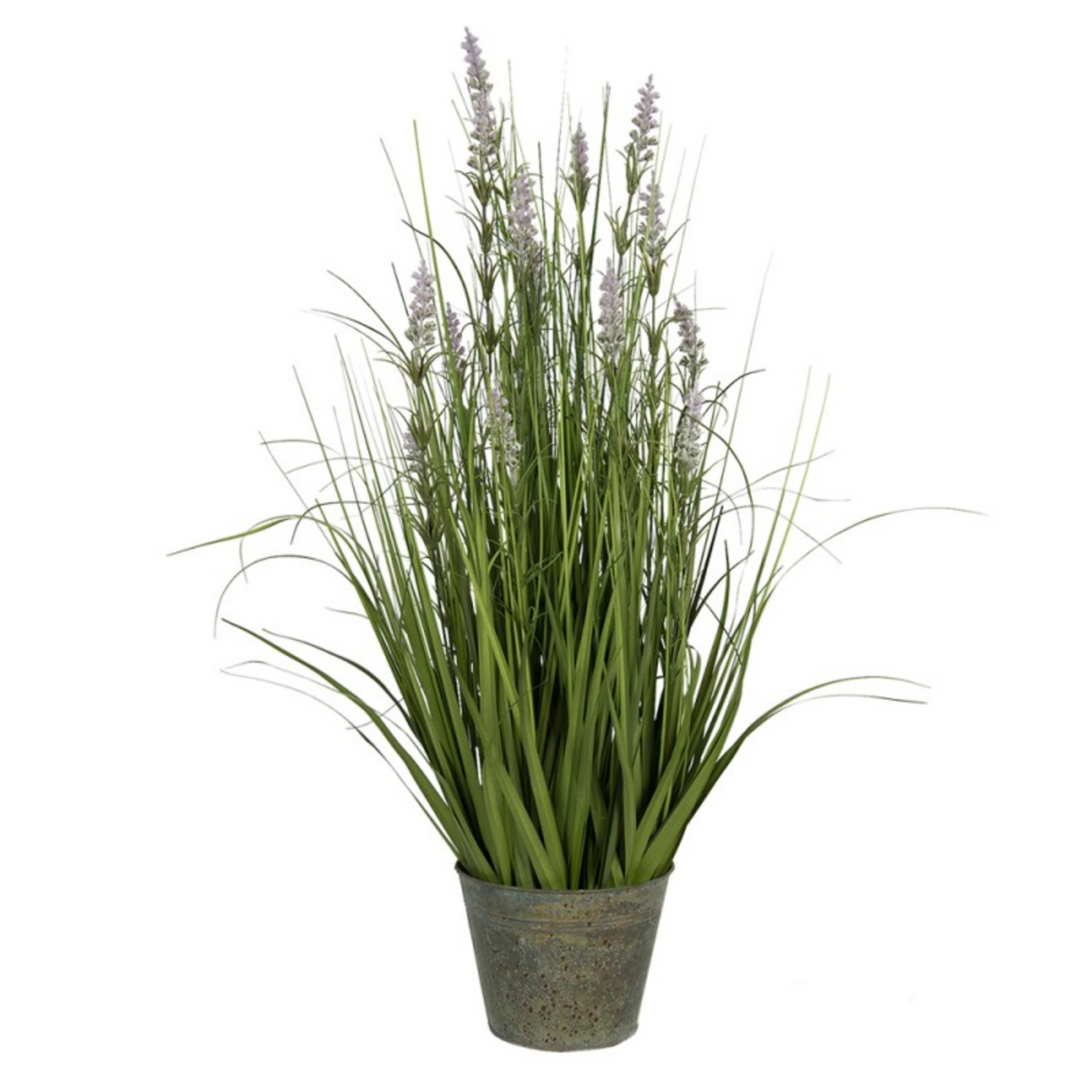 Lavender in pot 66*64*80 cm