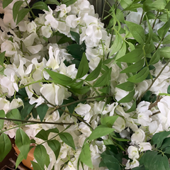 White artificial flowers