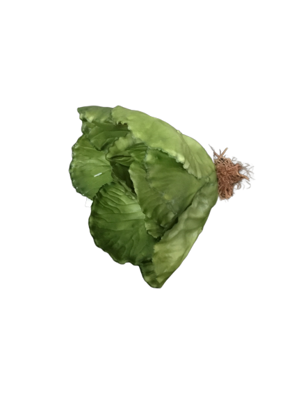 Lettuce