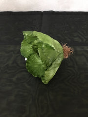 Lettuce