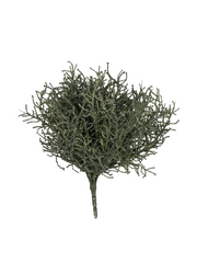Green coral shrub on stalk